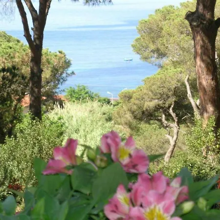 E Apt. Silvia By Agenzia Solturelba Holiday home Capoliveri (Isola d'Elba)
