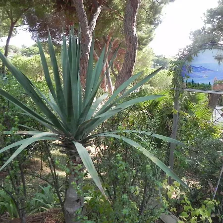E Apt. Silvia By Agenzia Solturelba Holiday home Capoliveri (Isola d'Elba)